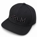 HRLM-pet